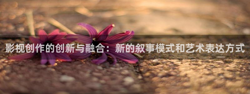 樱花视频高清在线观看电视剧