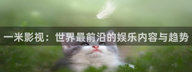 樱花影视电影电视剧免费观看